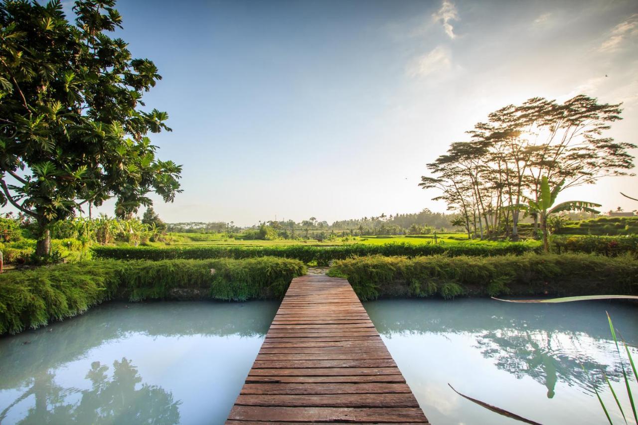Griya Kcb Villa Ubud Exterior foto